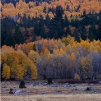 natureDSC_0018.jpg