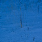 tahoemod5_SKY2845.jpg